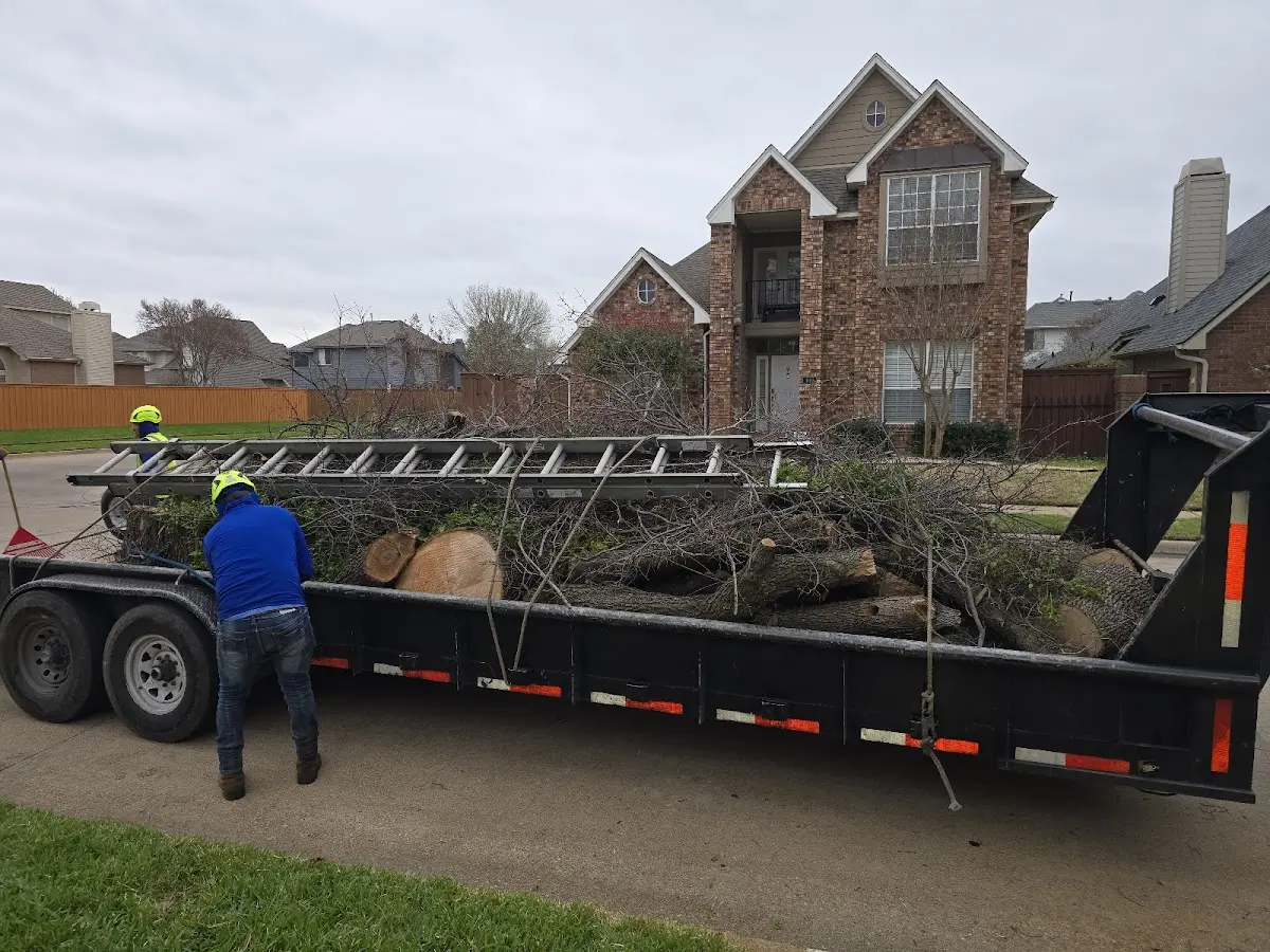 Expert Lot Clearing with proper safety equipment in Jakin